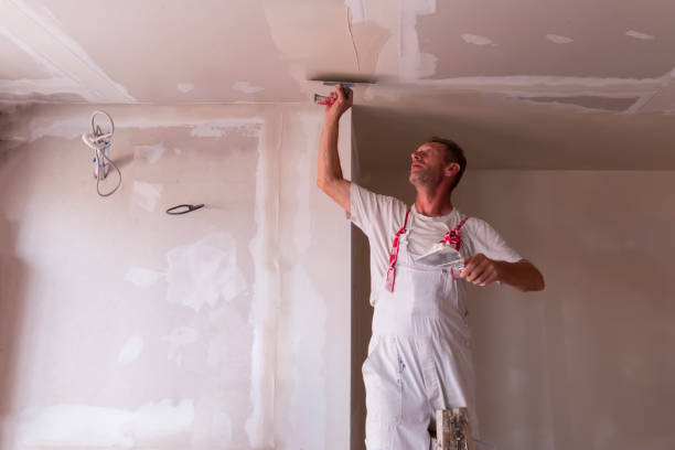  , USA Dry wall and painting Pros